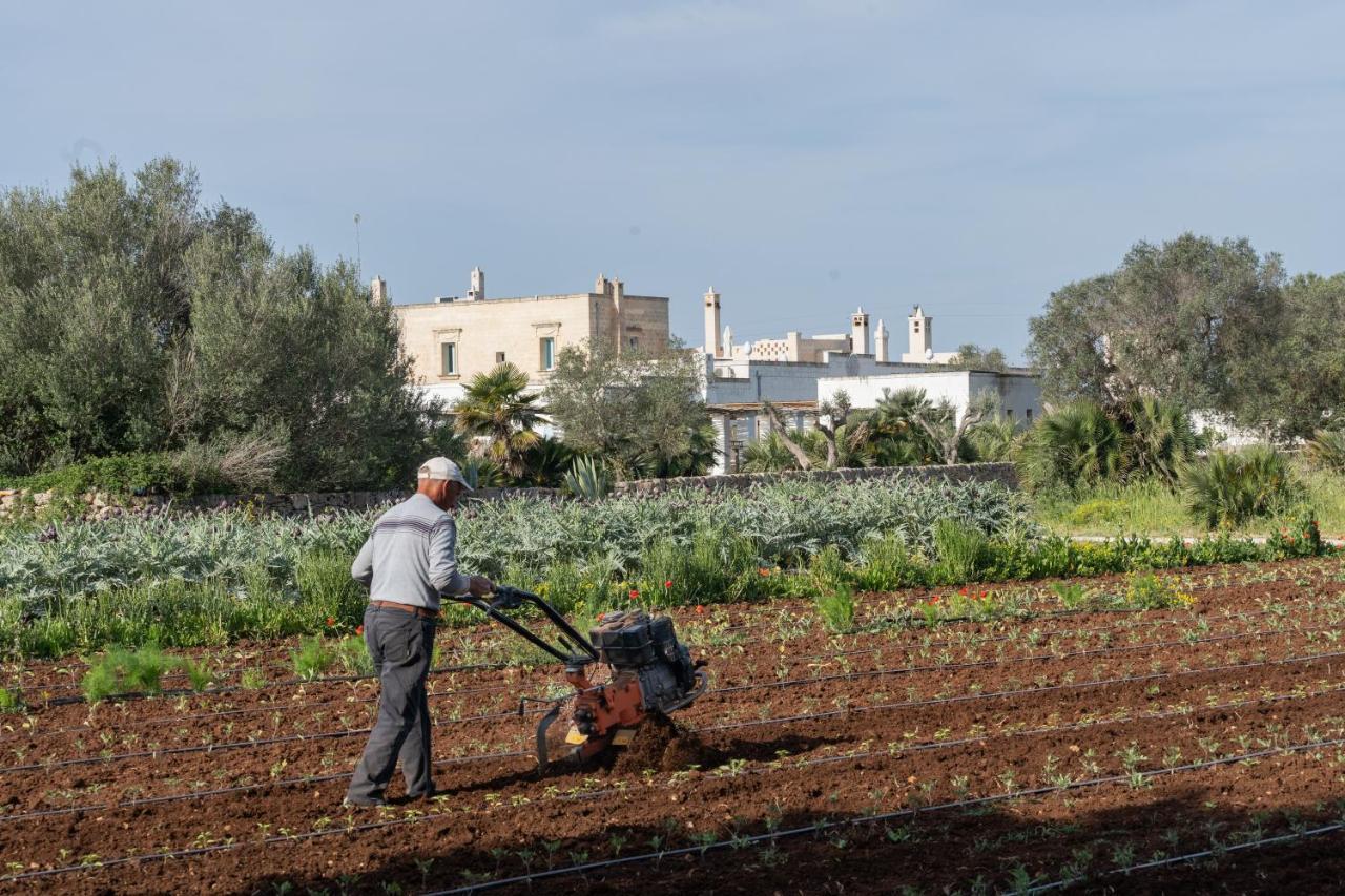 Masseria Palombara Relais & Spa - Adults Only Manduria Eksteriør bilde
